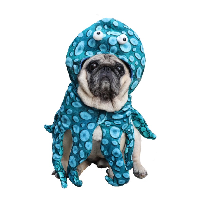 halloween costumes for french Bulldogs
