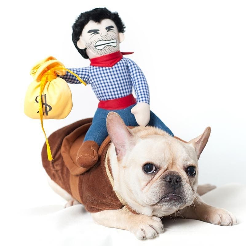 halloween costumes for french Bulldogs